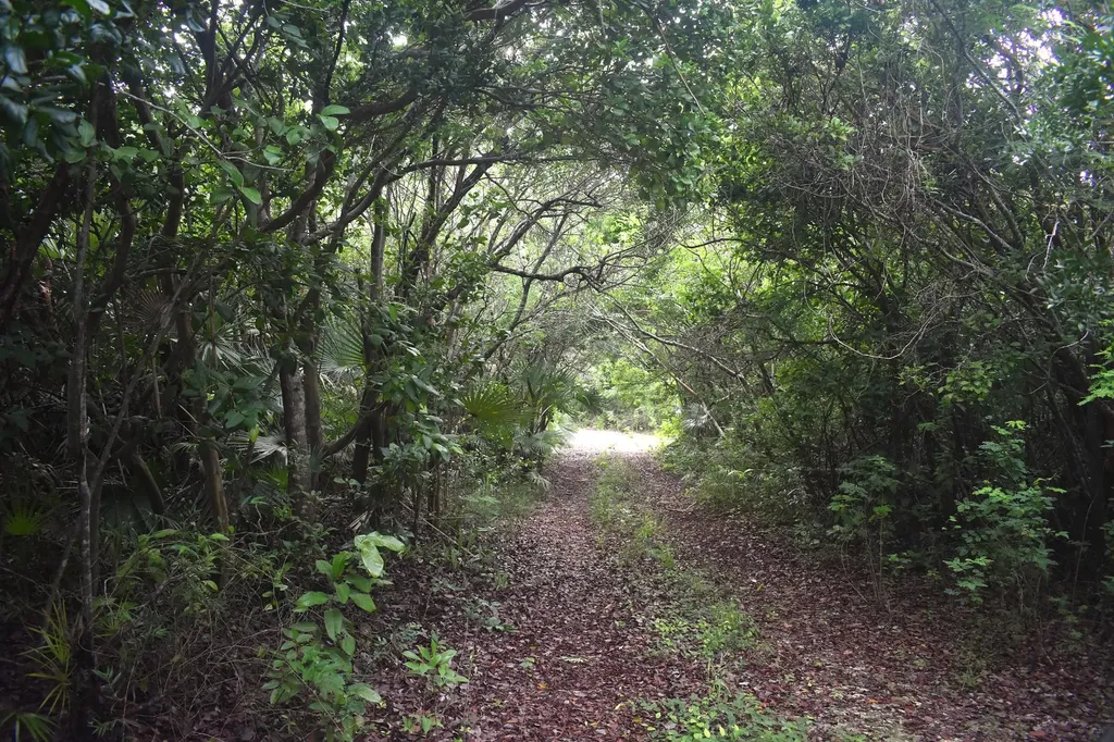Eleuthera Island Shores Eleuthera BS