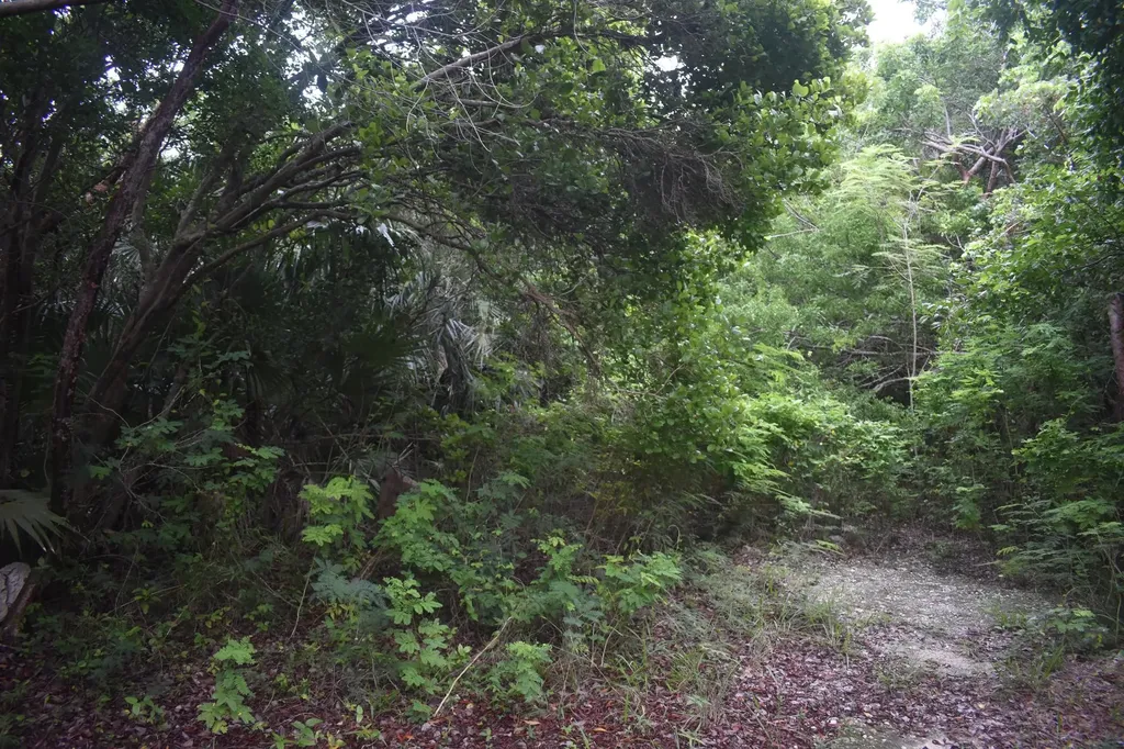 Eleuthera Island Shores Eleuthera BS