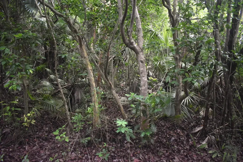 Eleuthera Island Shores Eleuthera BS