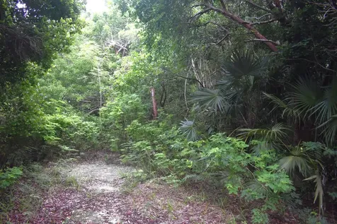 Eleuthera Island Shores Eleuthera BS