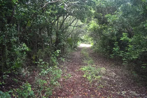 Eleuthera Island Shores Eleuthera BS