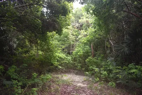 Eleuthera Island Shores Eleuthera BS