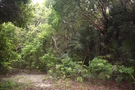Eleuthera Island Shores Eleuthera BS
