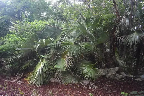 Eleuthera Island Shores Eleuthera BS