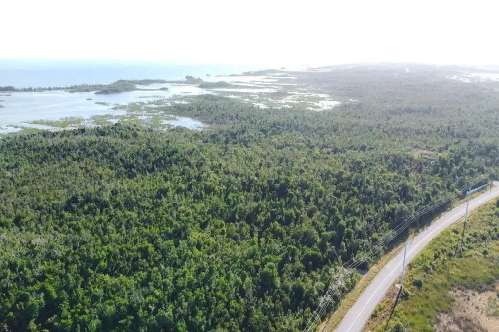 Hill Creek 20.08 Acres Abaco BS