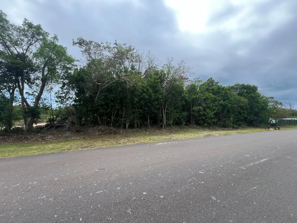 Nelson Road Acreage New Providence Paradise Island BS