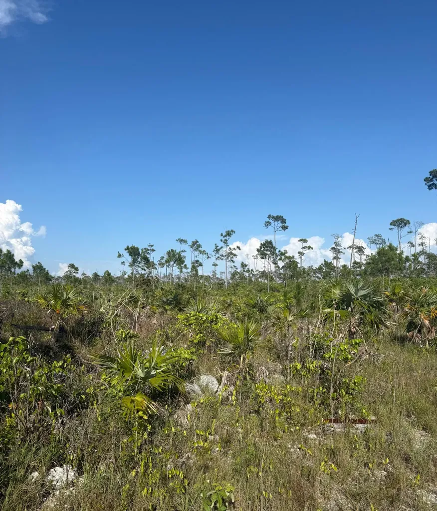 Capstan Drive, Chesapeake Grand Bahama Freeport BS