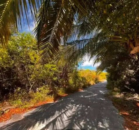 Knowles Drive Eleuthera BS