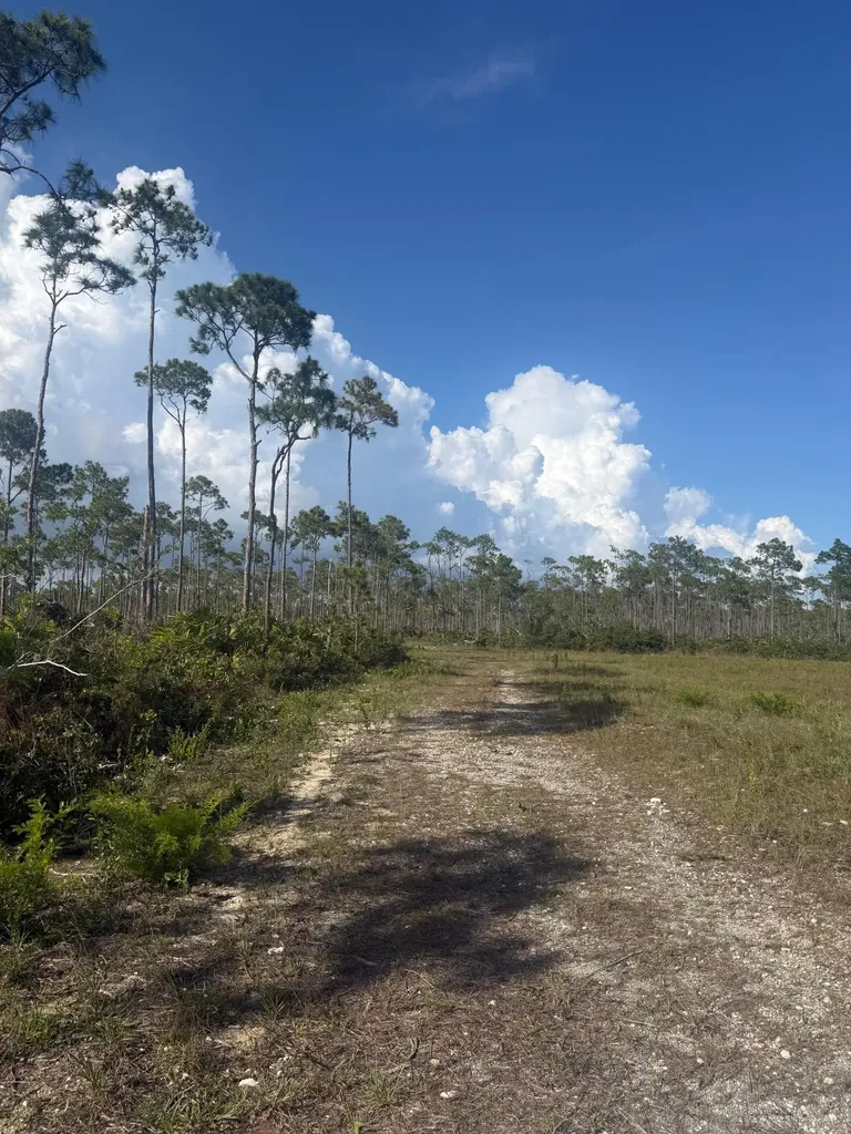 Berwyn Place, Grasmere, F Grand Bahama Freeport BS