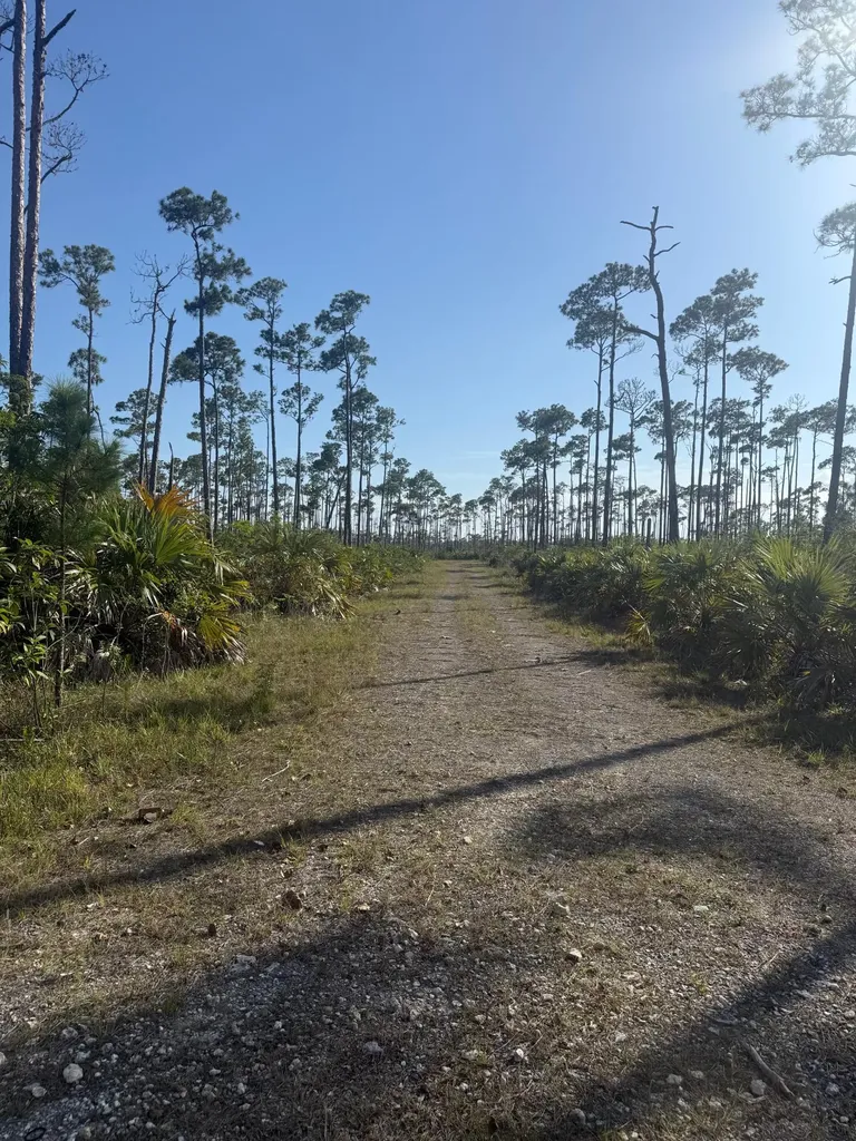 Grasmere Drive, Freeport, Grand Bahama Freeport BS