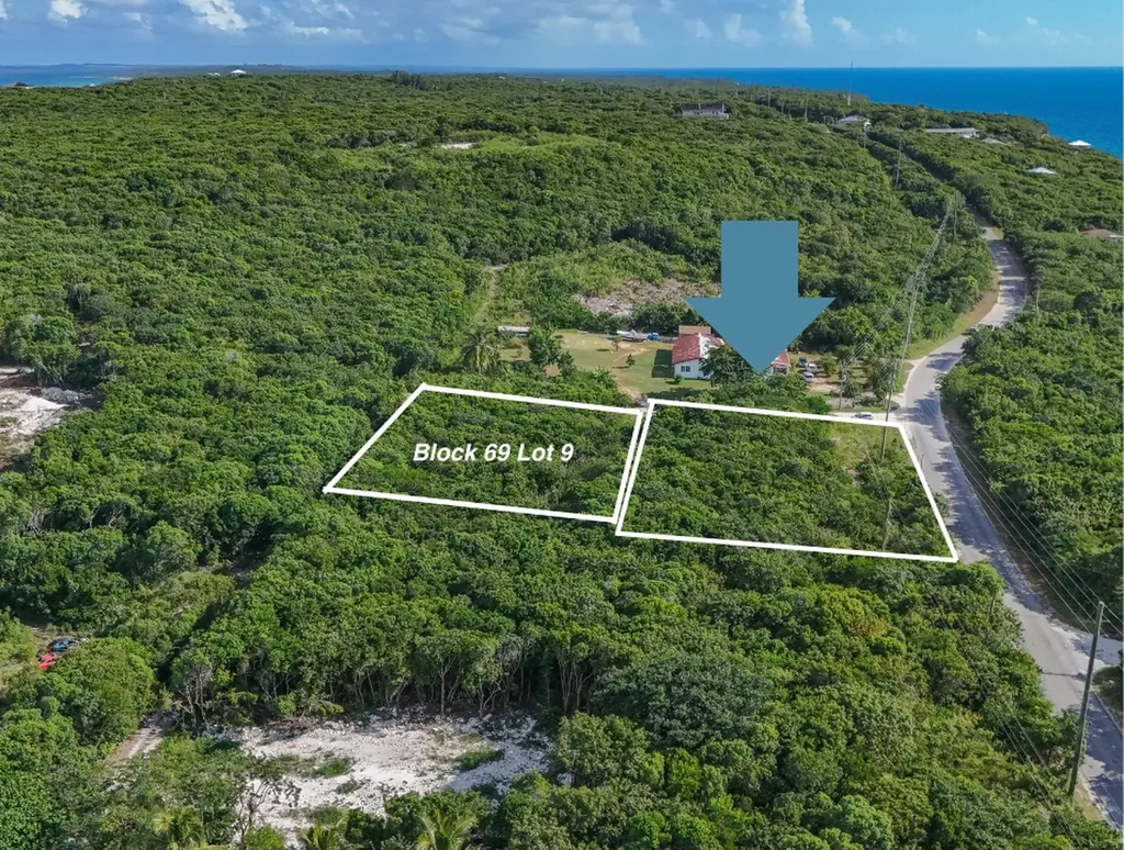 Wild Orchid Road Eleuthera BS