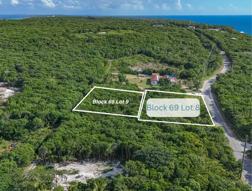 Wild Orchid Road Eleuthera BS
