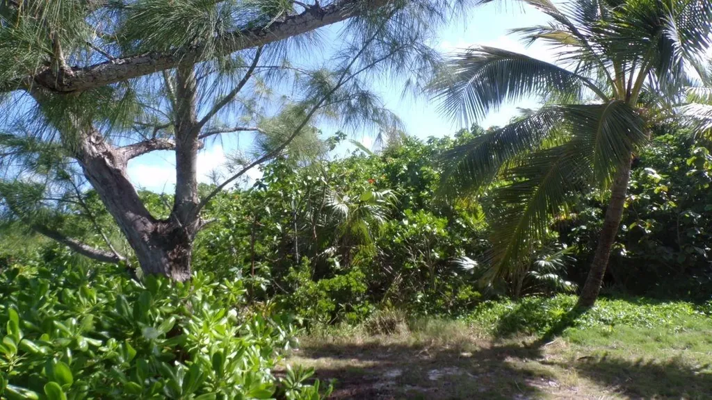 Beach Access Lot Long Island BS
