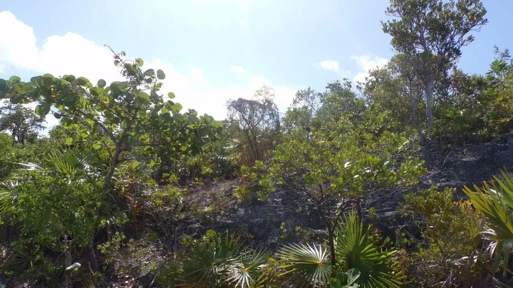 Beach Access Lot Long Island BS