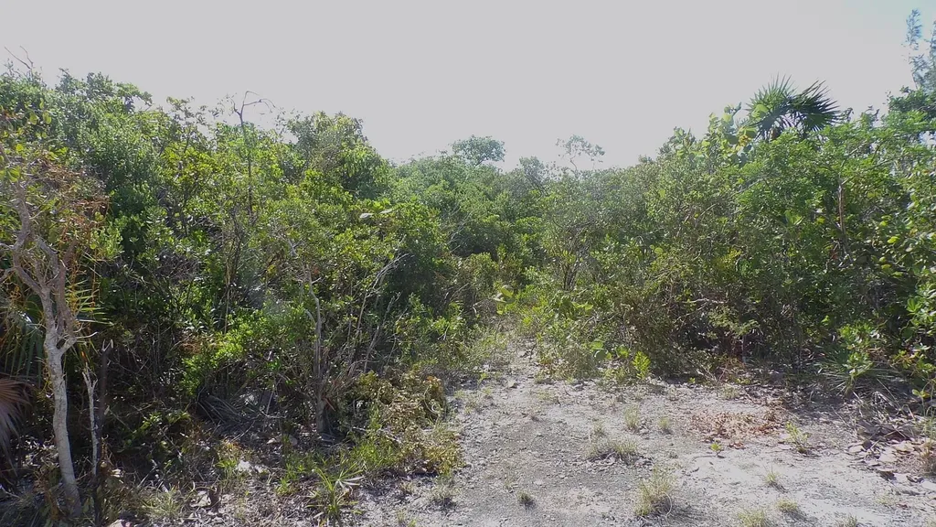 Beach Access Lot Long Island BS