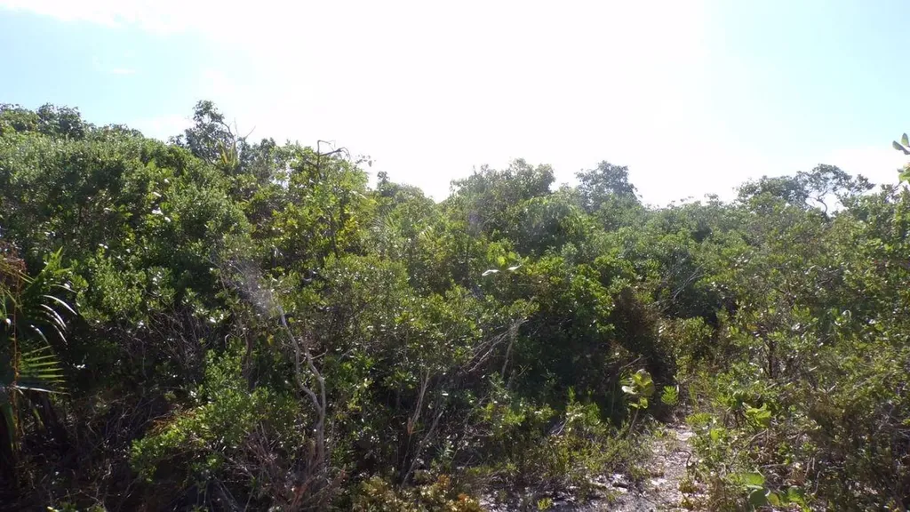 Beach Access Lot Long Island BS