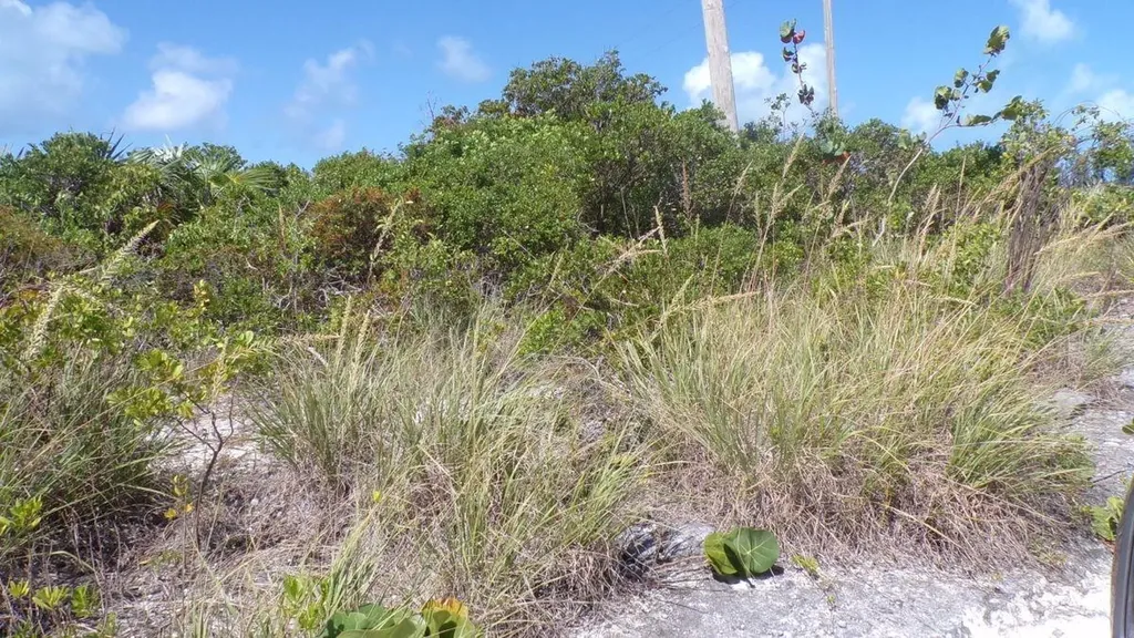 Beach Access Lot Long Island BS