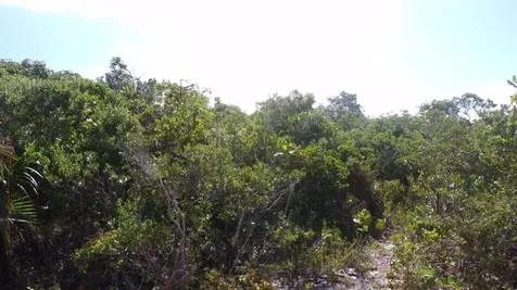 Beach Access Lot Long Island BS