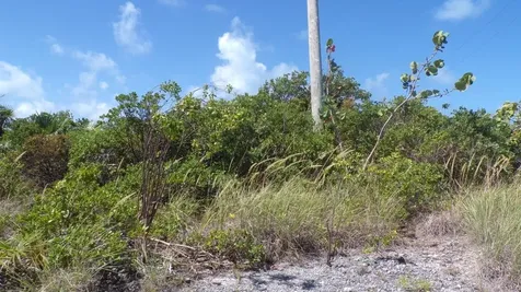 Beach Access Lot Long Island BS