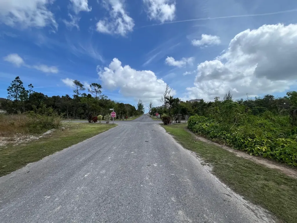 Arawak Drive New Providence Paradise Island BS