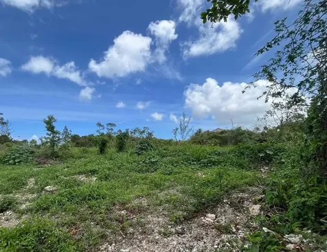 Arawak Drive New Providence Paradise Island BS