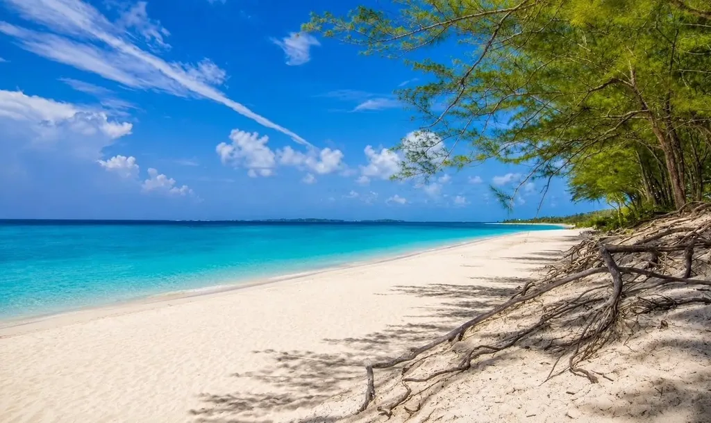 Paradise Island Condo New Providence Paradise Island BS