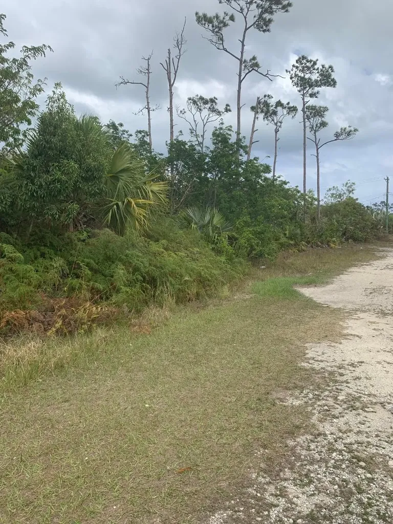 Lot 22 Mallard St Block 49 Grand Bahama Freeport BS
