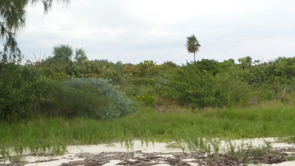 Jwycesska Island Abaco BS