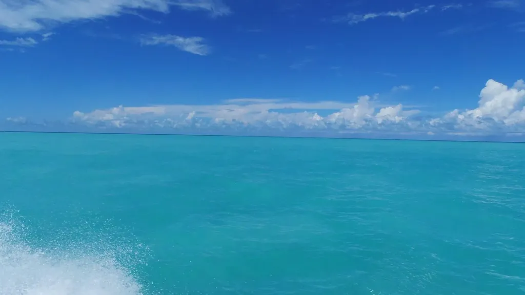 Jwycesska Island Abaco BS