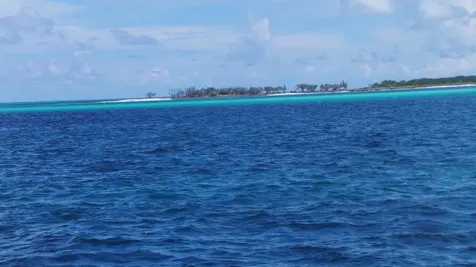 Jwycesska Island Abaco BS