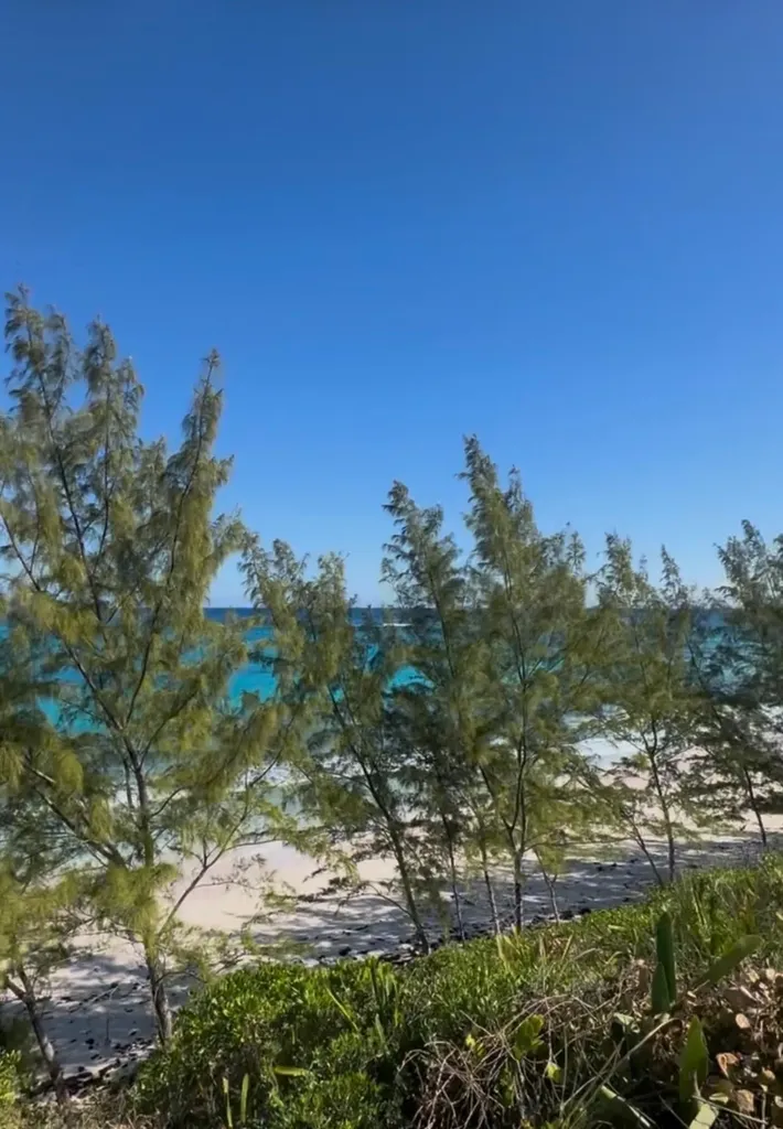 Breeze Away Estates Eleuthera BS