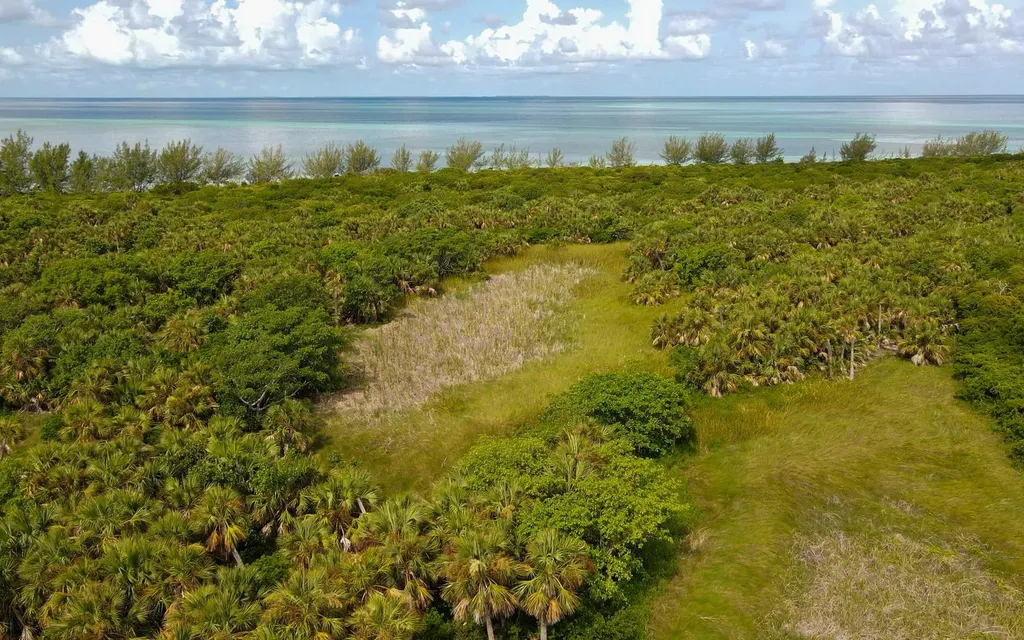 Joe's Cay Abaco BS
