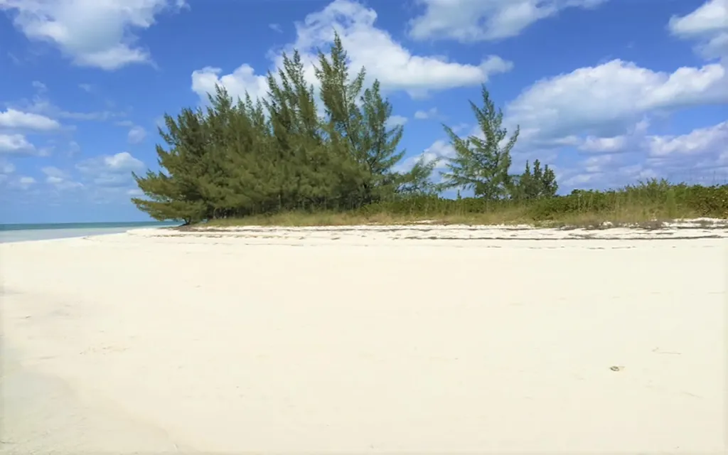 Joe's Cay Abaco BS