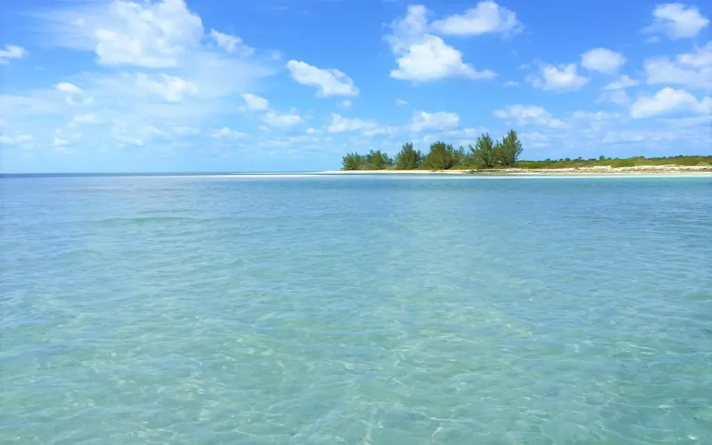 Joe's Cay Abaco BS