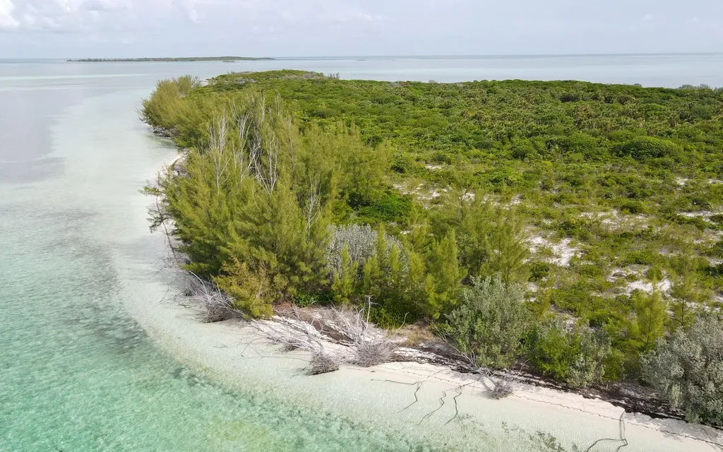Joe's Cay Abaco BS