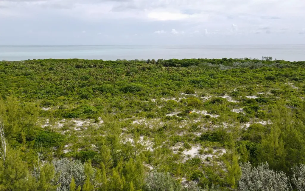 Joe's Cay Abaco BS