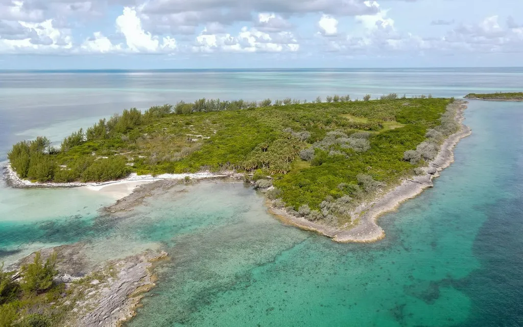 Joe's Cay Abaco BS