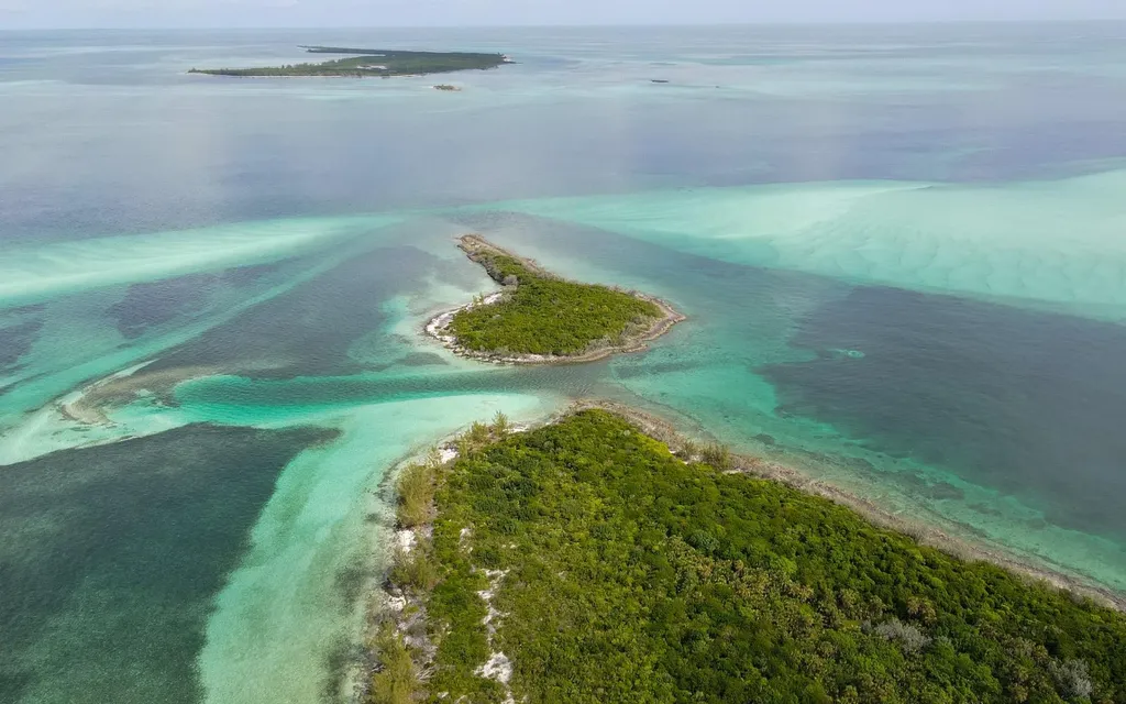 Joe's Cay Abaco BS