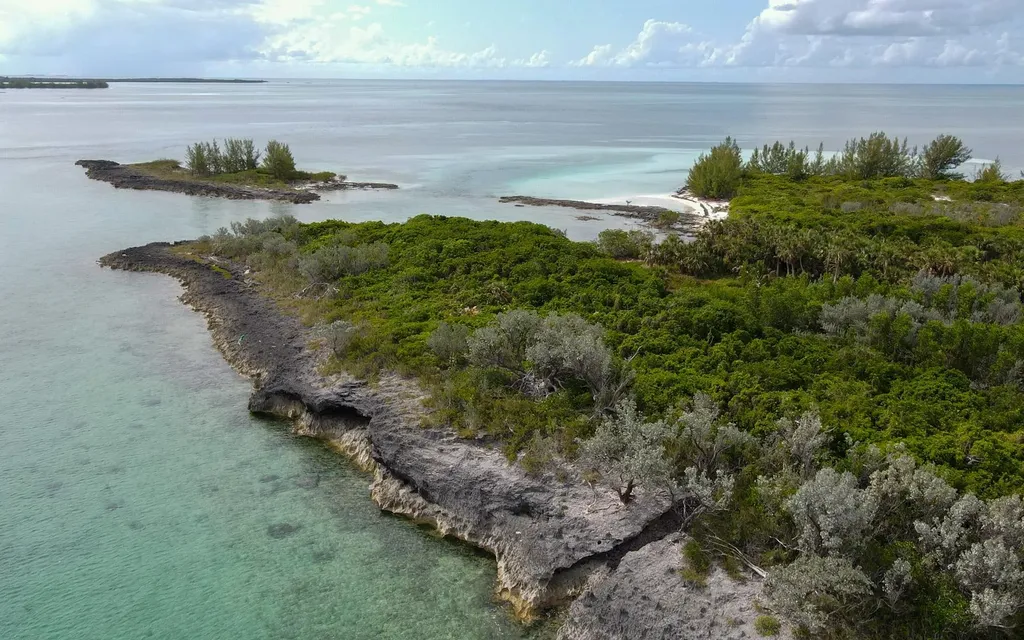 Joe's Cay Abaco BS