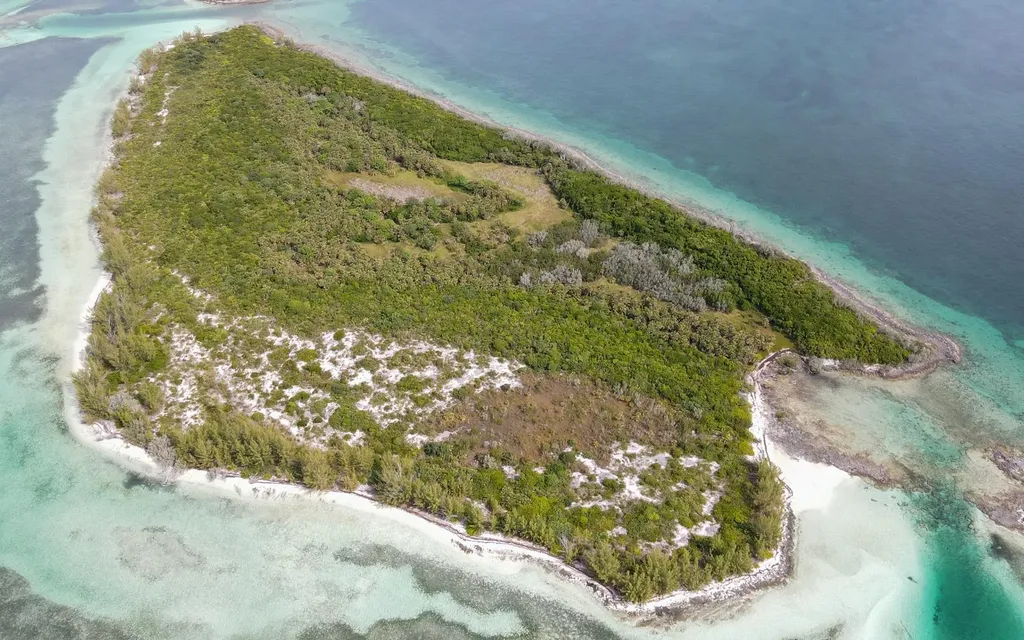 Joe's Cay Abaco BS