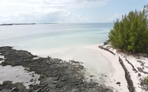 Joe's Cay Abaco BS