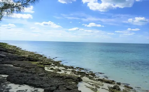 Joe's Cay Abaco BS