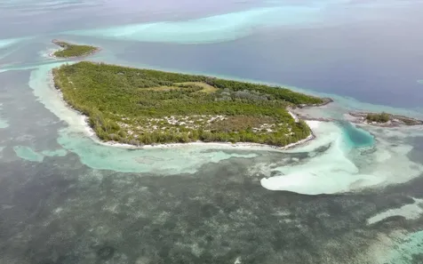 Joe's Cay Abaco BS