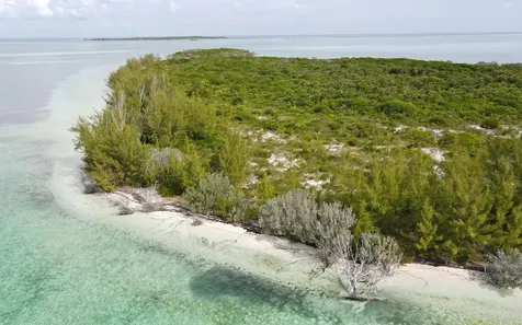 Joe's Cay Abaco BS