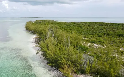 Joe's Cay Abaco BS
