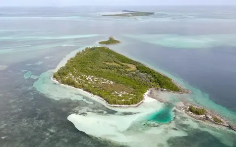 Joe's Cay Abaco BS