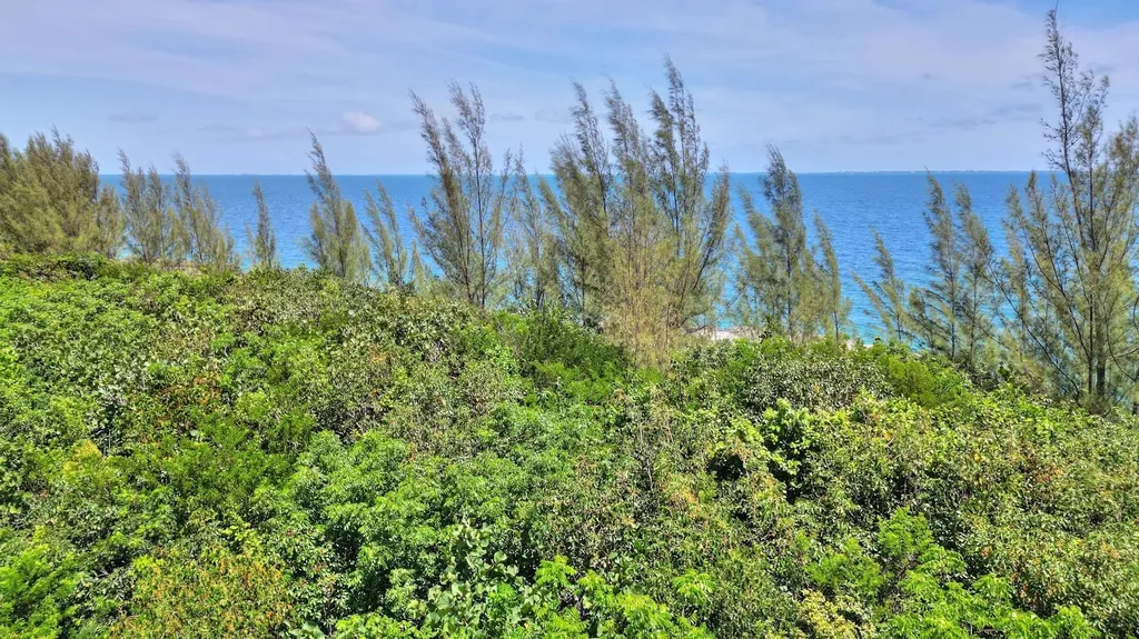 Lot A1, Bay Shore Road Abaco BS