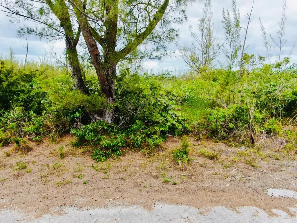 Lindsell Drive, Derby, Fr 4 Grand Bahama Freeport BS