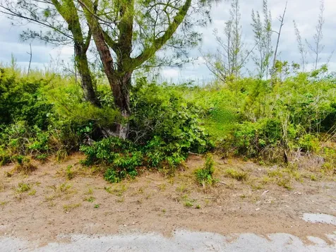 Lindsell Drive, Derby, Fr 4 Grand Bahama Freeport BS