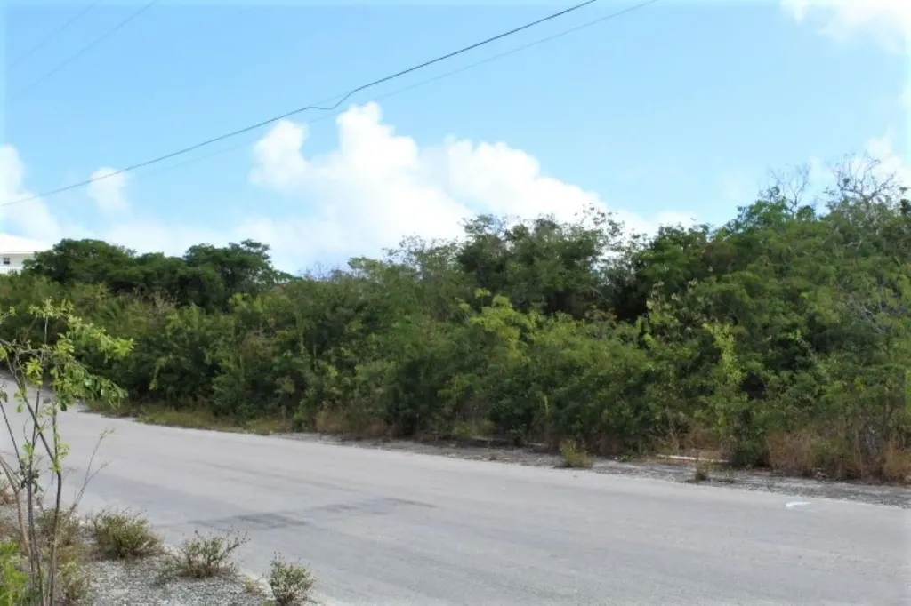 Lot# C3 Scrub Hill Long Island BS